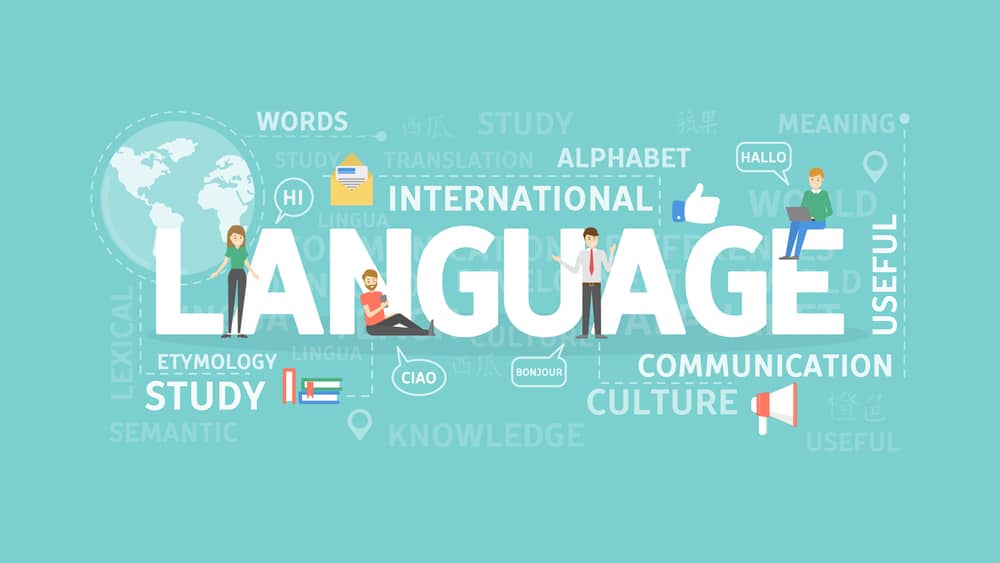 What Defines a Successful Corporate Language Training Program?