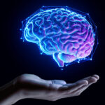 The Science of Language Retention: Tips for Keeping Language Skills Sharp